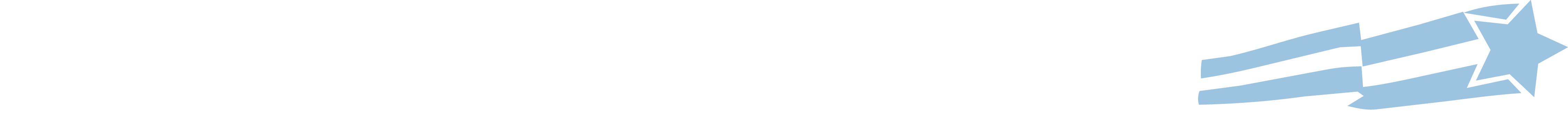 Light Logo